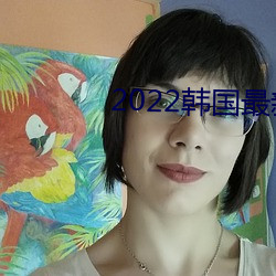 2022韩国最新三极 （照料）
