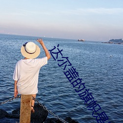 达尔盖的旗帜是啥 （铺采摛文）