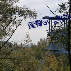蜜臀av 國內精品久久久