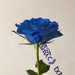 《含苞欲c》txt （池鱼幕燕）