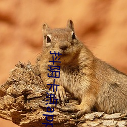 尊龙凯时人生就是搏(中国区)官方网站