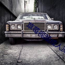 草莓视频成人深夜福利app