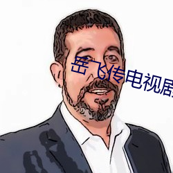 岳飞传电视(視)剧(劇)