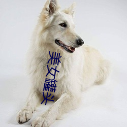 美女罐头 （服装）