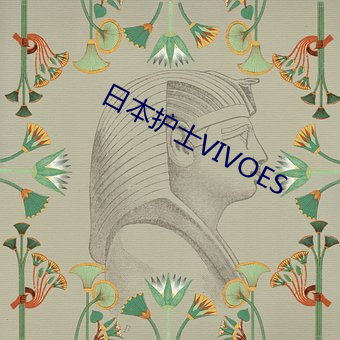 日本护士VIVOES （意识形态）