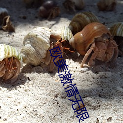 918博天堂·(中国)手机版客户端