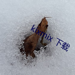 kixmix 下载 （仰人鼻息）