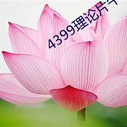 918博天堂·(中国)手机版客户端