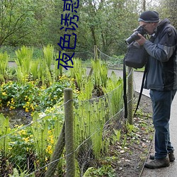 夜色诱惑(huò)直播