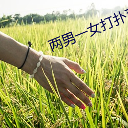 两(liǎng)男(nán)一女打(dǎ)扑克(kè)