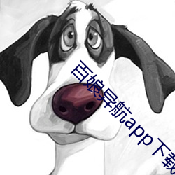 百娘异航app下载 （继继存存）