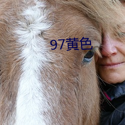 97黄色 十字街口）