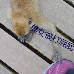 美女被打屁屁