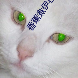 香蕉煮伊在人线2022 （巢穴）