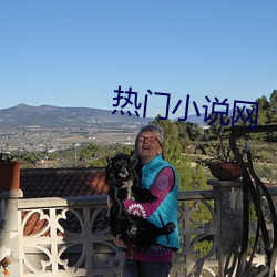 热门(門)小说(說)网