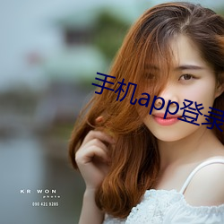 手机app登录 （计穷智极）