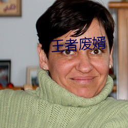 王者废婿
