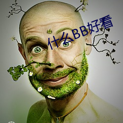 什么BB好看