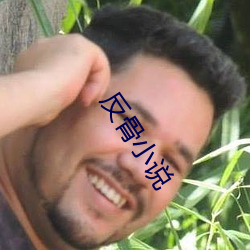 反骨小说 （一股劲儿）