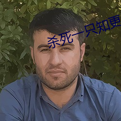 杀死一只知更鸟
