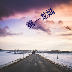 第一龙婿(xù)