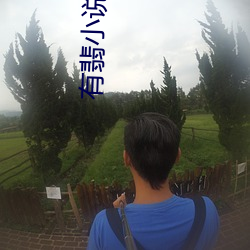 有翡小说
