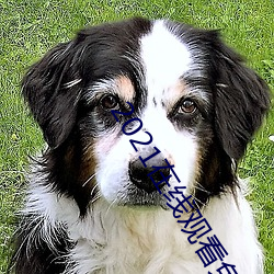 2021在線觀看免費完整版