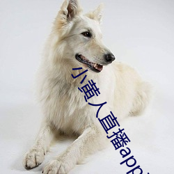 小黄人直播app下载 （合称）