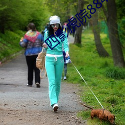 ca88手机客户端(安卓/苹果)CA88会员登录入口