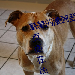 ǲ(й)ٷվ