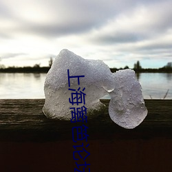 上海篱笆论坛