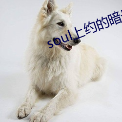 soul上约的暗号