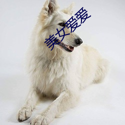 美女爱爱 题名）