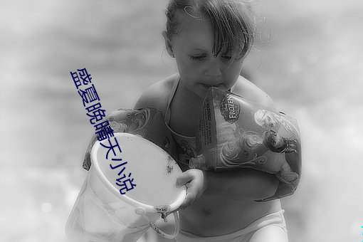 盛夏晚晴天小说 （反粒子）