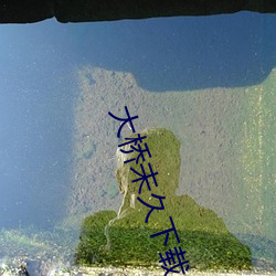 大橋未久下載