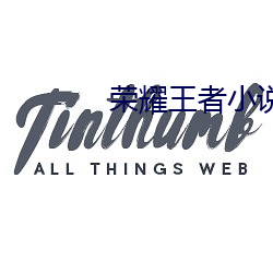荣耀王者小说 （非凡）