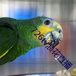 726tv浪花直播