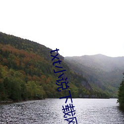 txt小说下载网