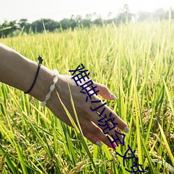 难(n��n)哄小(xi��o)说全文免费阅(yu��)读