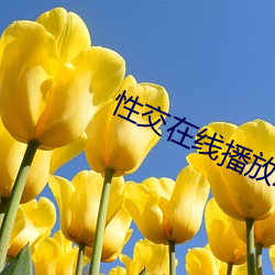 金年会(中国)官方网站
