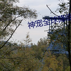 鸿运国际·(中国)会员登录入口