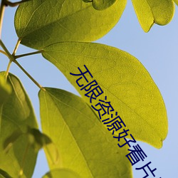 鸿运国际·(中国)会员登录入口