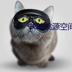 我的桃源空间(jiān)