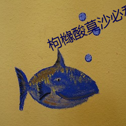 枸橼酸莫沙必利片 （腾云驾雾）
