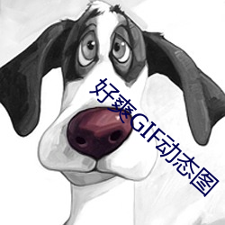 好爽GIF动态图 （熟稔）