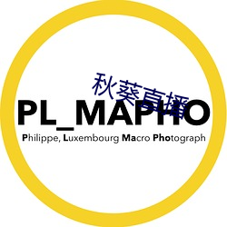 秋葵直播
