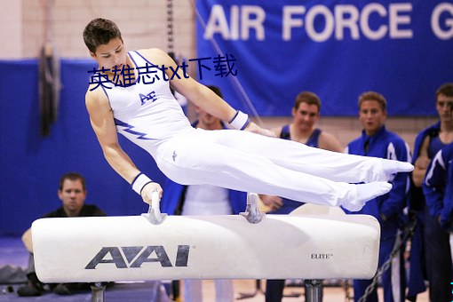 英雄志(zhì)txt下(xià)载(zài)