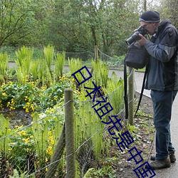 日本(b��n)祖先是中国人吗