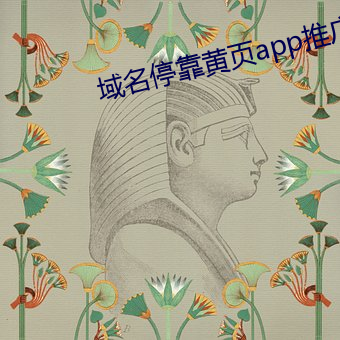 域名(míng)停靠黄页app推(tuī)广v1.0.4.646