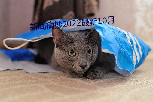 新聞摘抄2022最新10月